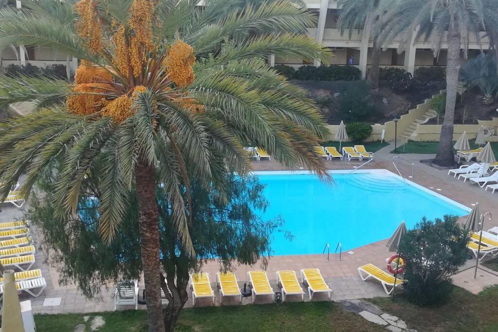 Maspalomas Sandy Beach Apartment Playa del Ingles  Dış mekan fotoğraf